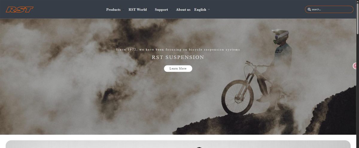RST Suspension — WordPress 網站案例