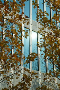 一件代發(Dropshipping)