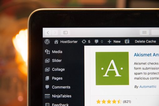 WordPress dashboard showing plugin