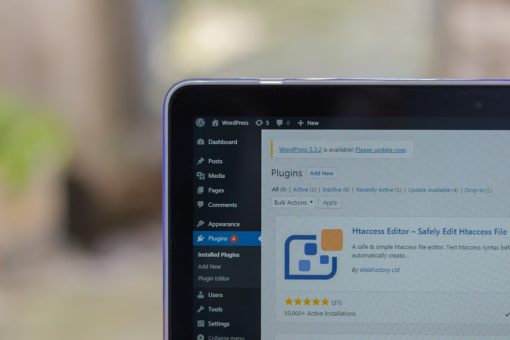 WordPress 插件管理介面