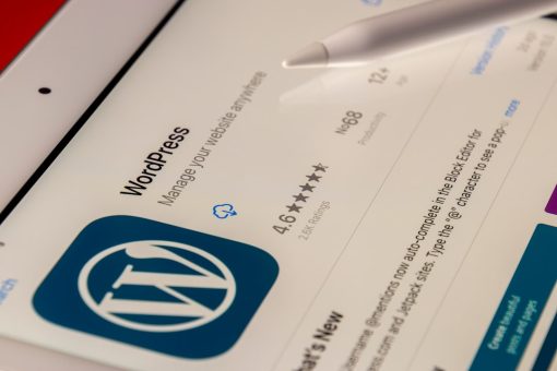 WordPress 應用程式介面